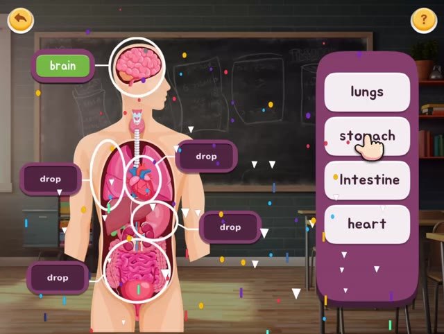 Human body labelling activity